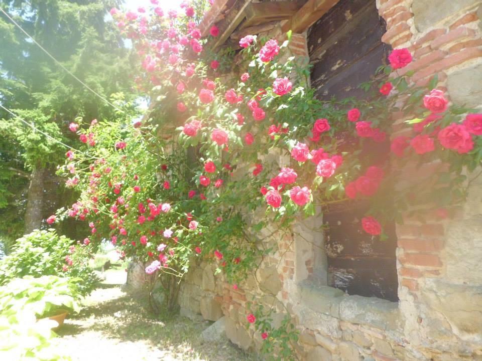 ホテルBottega Di Montegiovi Scopeti エクステリア 写真